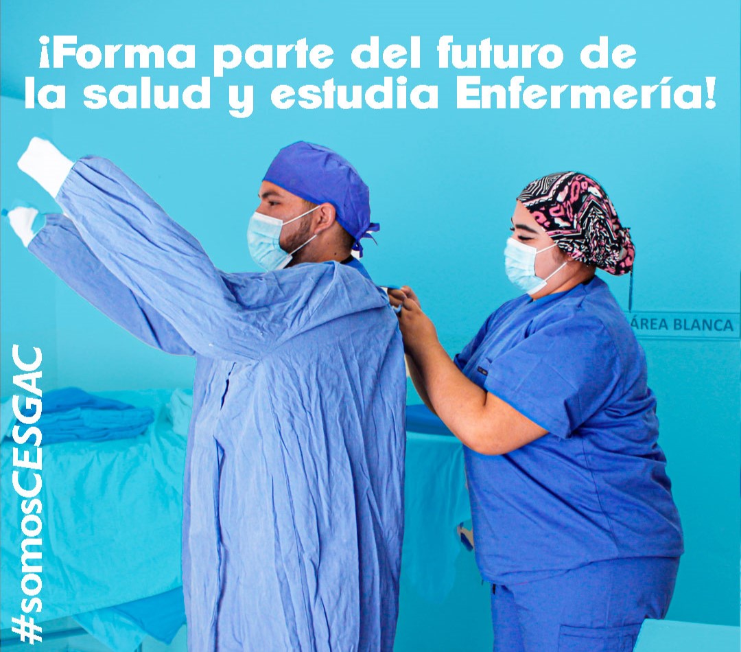 Imagen 6